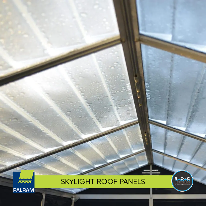 5 4x6 Skylight Roof